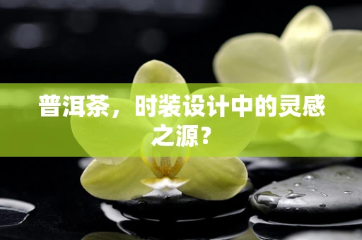 普洱茶，时装设计中的灵感之源？