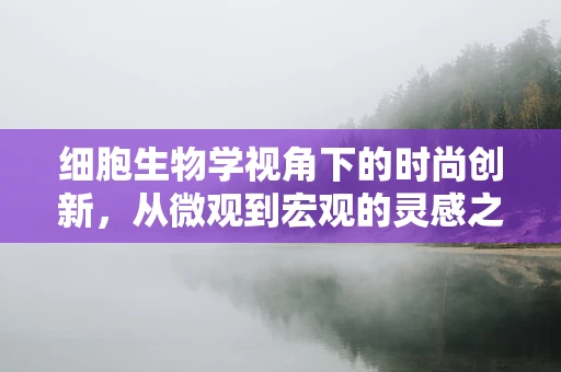 细胞生物学视角下的时尚创新，从微观到宏观的灵感之旅