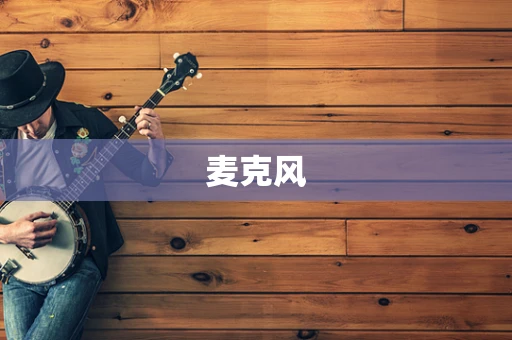 麦克风
