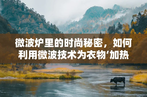 微波炉里的时尚秘密，如何利用微波技术为衣物‘加热’创意？