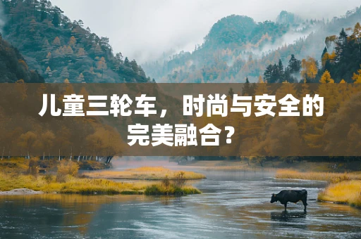 儿童三轮车，时尚与安全的完美融合？