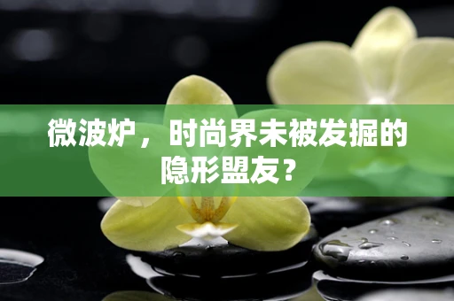 微波炉，时尚界未被发掘的隐形盟友？