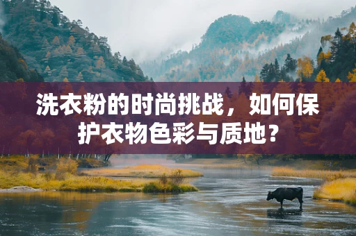洗衣粉的时尚挑战，如何保护衣物色彩与质地？