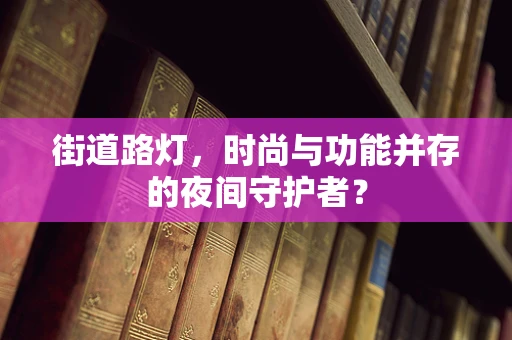 街道路灯，时尚与功能并存的夜间守护者？