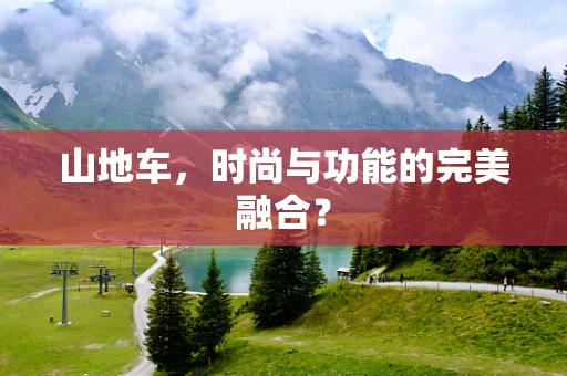 山地车，时尚与功能的完美融合？
