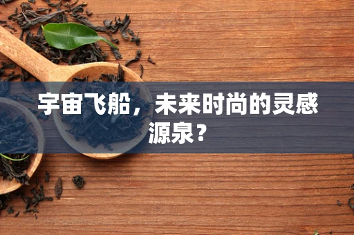 宇宙飞船，未来时尚的灵感源泉？