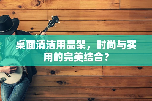 桌面清洁用品架，时尚与实用的完美结合？