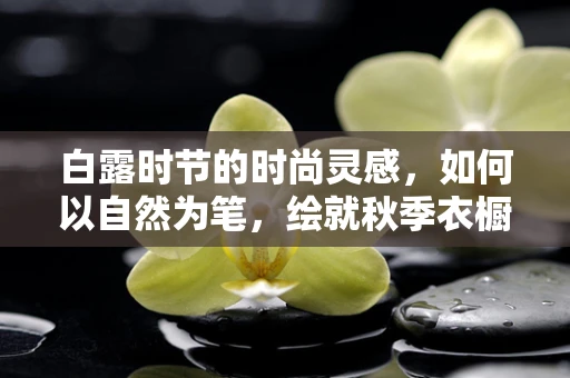 白露时节的时尚灵感，如何以自然为笔，绘就秋季衣橱新篇章？