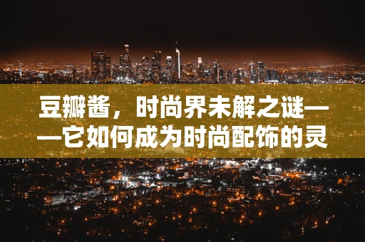 豆瓣酱，时尚界未解之谜——它如何成为时尚配饰的灵感源泉？