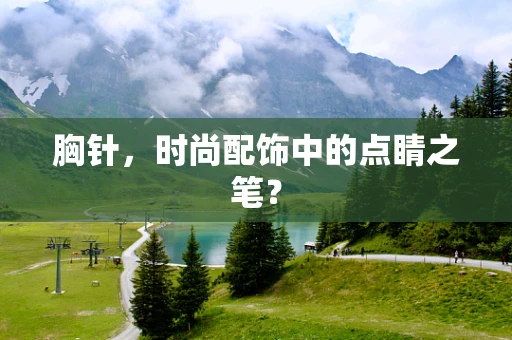 胸针，时尚配饰中的点睛之笔？