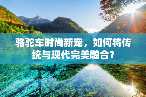 骆驼车时尚新宠，如何将传统与现代完美融合？