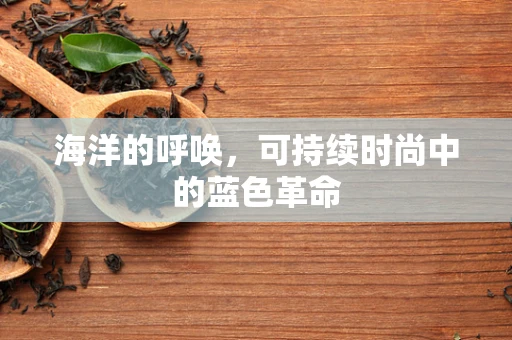 海洋的呼唤，可持续时尚中的蓝色革命