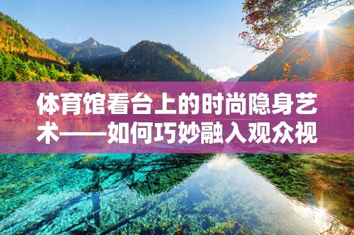 体育馆看台上的时尚隐身艺术——如何巧妙融入观众视线？