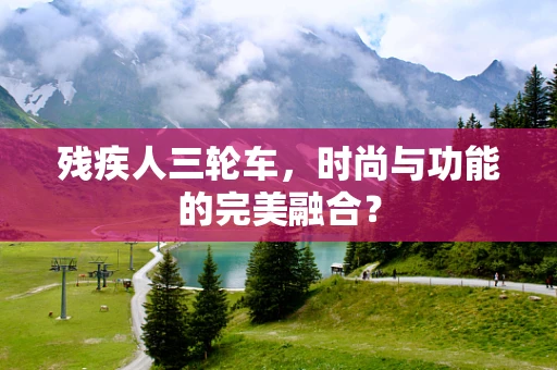 残疾人三轮车，时尚与功能的完美融合？