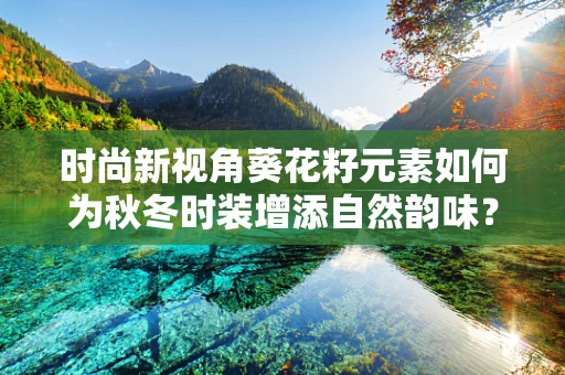 时尚新视角葵花籽元素如何为秋冬时装增添自然韵味？