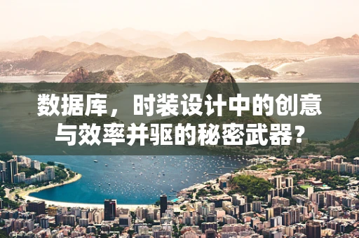 数据库，时装设计中的创意与效率并驱的秘密武器？