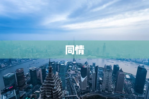 同情