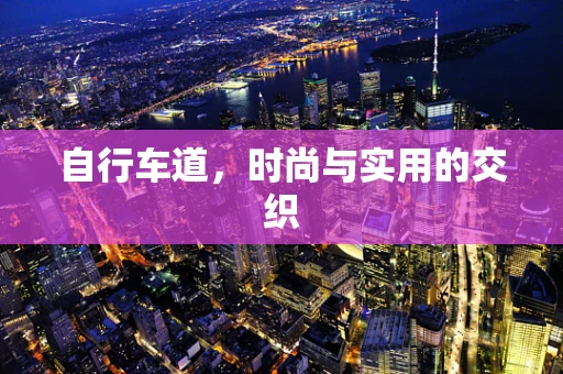 自行车道，时尚与实用的交织