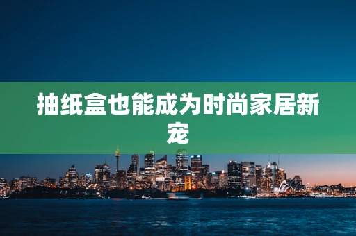 抽纸盒也能成为时尚家居新宠
