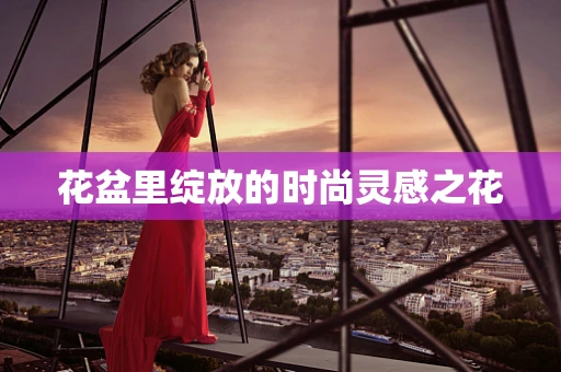 花盆里绽放的时尚灵感之花