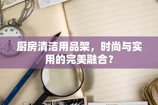 厨房清洁用品架，时尚与实用的完美融合？