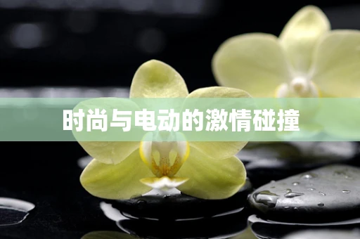 时尚与电动的激情碰撞