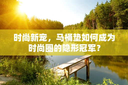 时尚新宠，马桶垫如何成为时尚圈的隐形冠军？