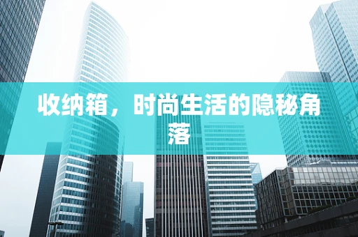 收纳箱，时尚生活的隐秘角落