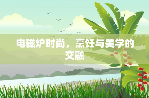 电磁炉时尚，烹饪与美学的交融