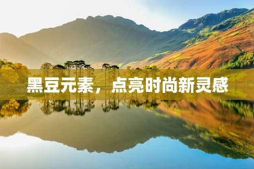 黑豆元素，点亮时尚新灵感