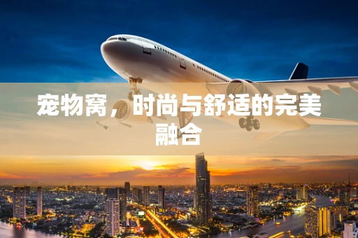 宠物窝，时尚与舒适的完美融合