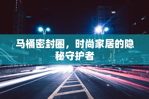 马桶密封圈，时尚家居的隐秘守护者