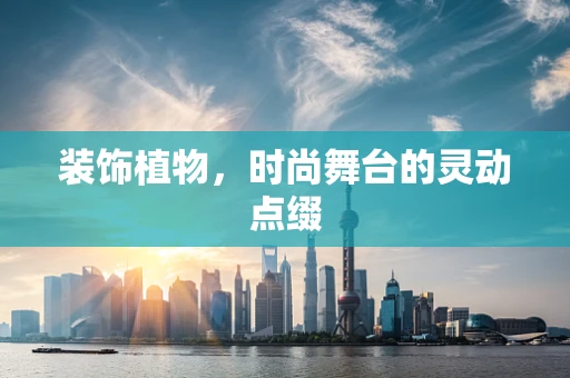装饰植物，时尚舞台的灵动点缀