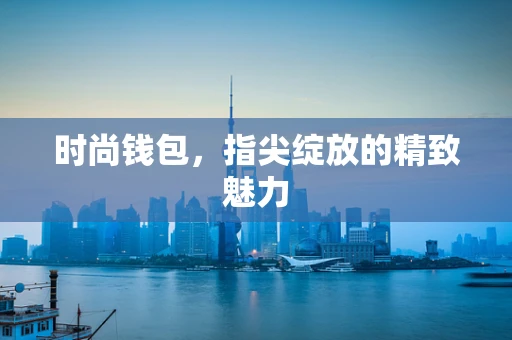 时尚钱包，指尖绽放的精致魅力