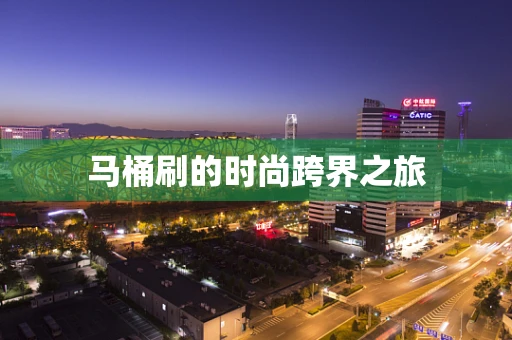马桶刷的时尚跨界之旅