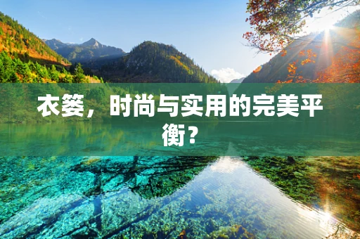 衣篓，时尚与实用的完美平衡？