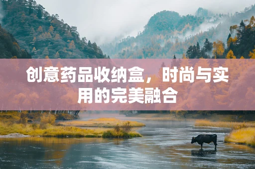 创意药品收纳盒，时尚与实用的完美融合