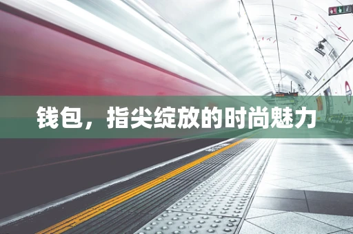 钱包，指尖绽放的时尚魅力