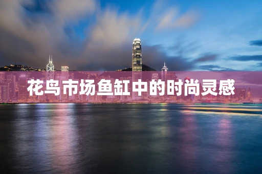 花鸟市场鱼缸中的时尚灵感