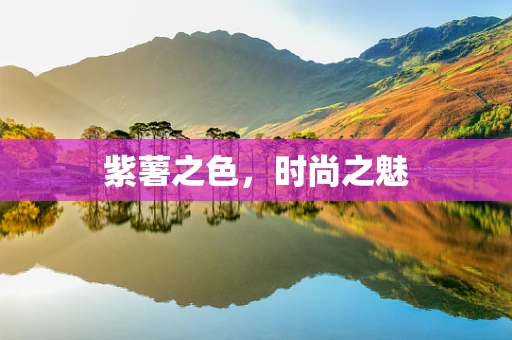 紫薯之色，时尚之魅