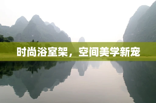 时尚浴室架，空间美学新宠