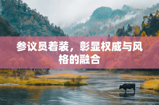 参议员着装，彰显权威与风格的融合