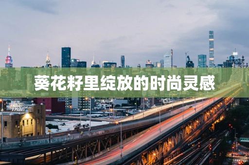 葵花籽里绽放的时尚灵感