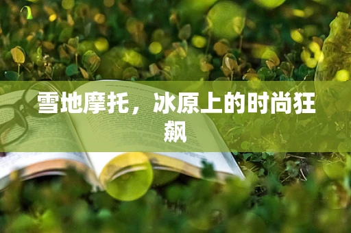 雪地摩托，冰原上的时尚狂飙