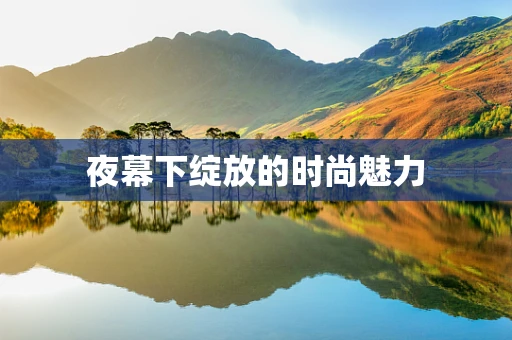 夜幕下绽放的时尚魅力