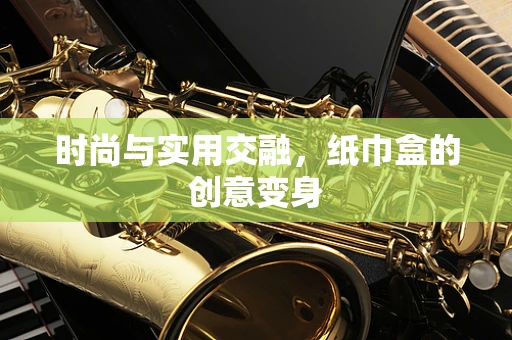 时尚与实用交融，纸巾盒的创意变身