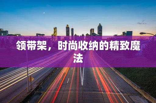 领带架，时尚收纳的精致魔法