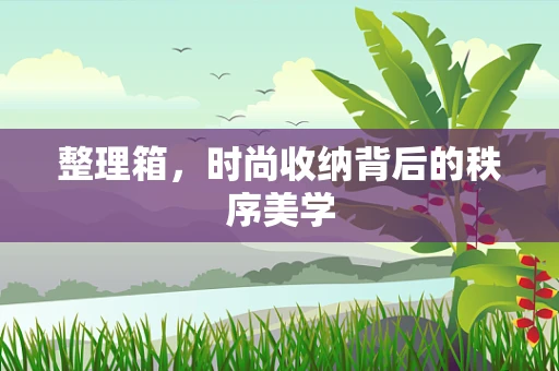 整理箱，时尚收纳背后的秩序美学