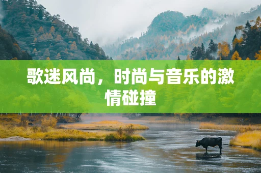 歌迷风尚，时尚与音乐的激情碰撞