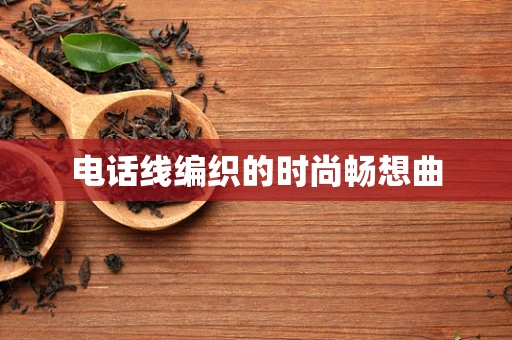 电话线编织的时尚畅想曲